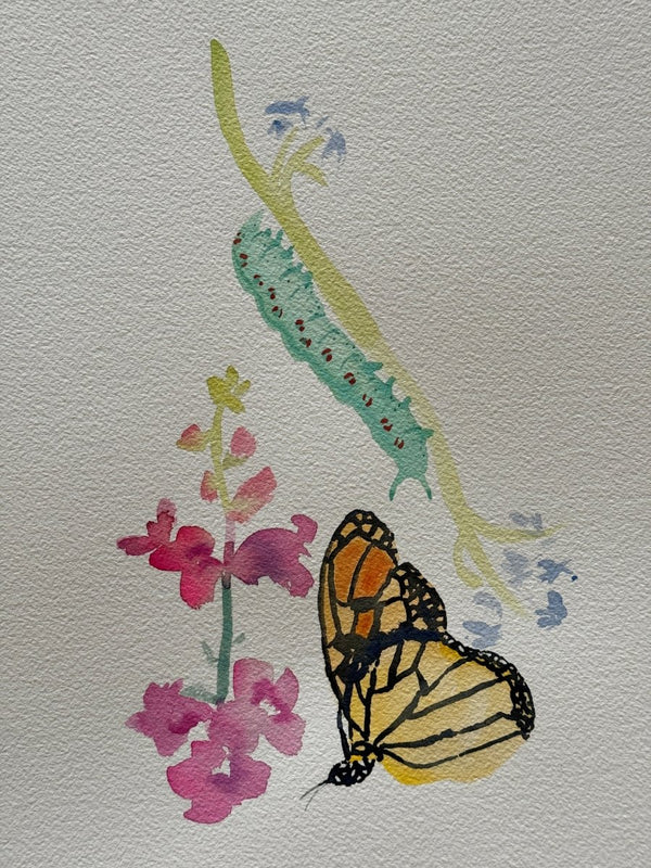 Monarch and Caterpillar | 14" h x 10" w - Liza Pruitt