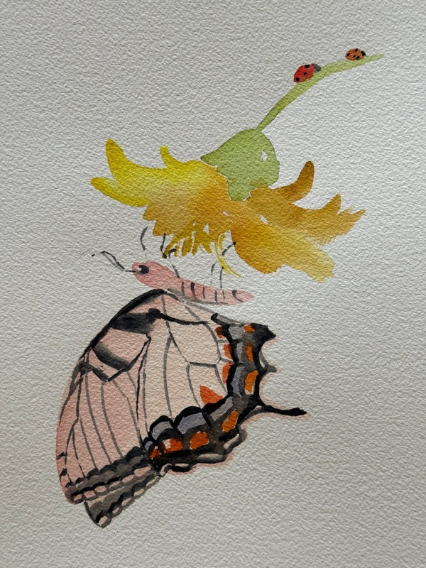 Salmon Butterfly and Ladybug | 14" h x 10" w - Liza Pruitt