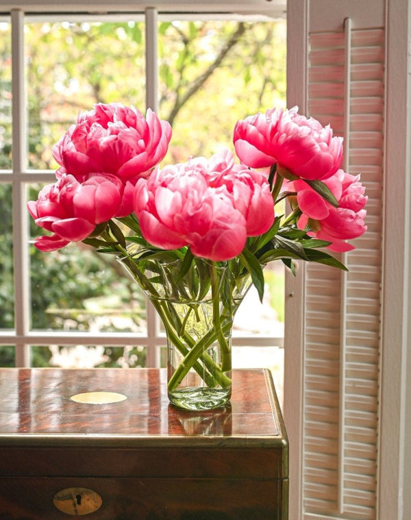 The Original Lettuce Leaf Vase - Liza Pruitt