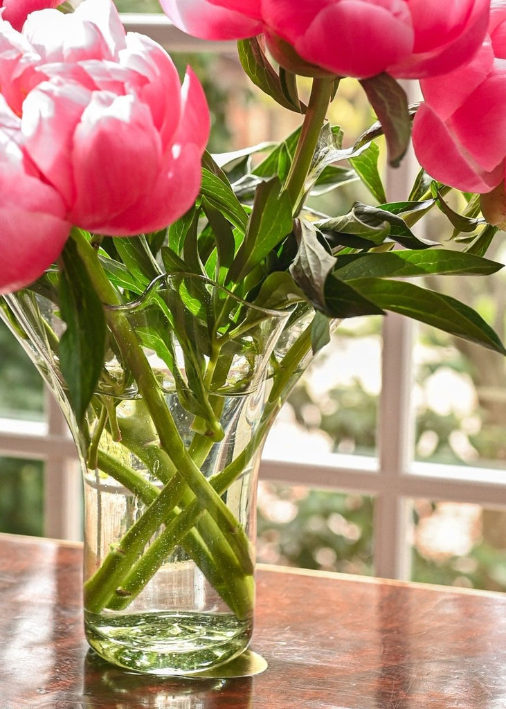 The Original Lettuce Leaf Vase - Liza Pruitt